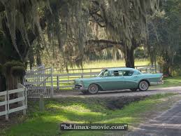 Watch series online free without any buffering. Roald Dahl S The Witches Full Movie Watch Online Roaldfull Twitter