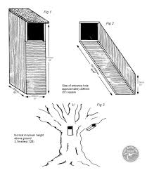 How to draw an owl on a tree easy step by step for kids. Tawny Owl Nestboxes The Barn Owl Trust