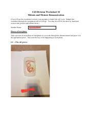 Terms in this set (69). Celldivisionworksheet2 Cell Division Worksheet 2 Mitosis And Meiosis Demonstration You Will Use This Worksheet To Track Your Attempts To Model The Course Hero
