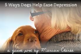 Symptoms of depression in dogs. 5 Ways Dogs Help Ease Depression Symptoms The Pet Show With Warren Eckstein