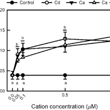 Rtlm was founded and owned by political actors associated with hardliners within the then ruling regime and who are largely seen as responsible for organizing and implementing the genocide. Mda Concentrations In Isolated Rtlm Incubated For 1 H With 0 Control Download Scientific Diagram