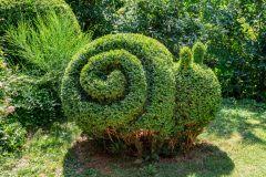 Die gartenschere eignet sich für behutsames wenn sie ihren buchsbaum in eine geometrische figur schneiden möchten, dann nutzen sie dafür eine schablone. Buchsbaum Stark Zuruckschneiden Wann Und Wie Wird S Gemacht
