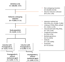 Prostaglandin e2 receptor 1 (ep1) is a 42kda prostaglandin receptor encoded by the ptger1 gene. Labor Induction With Prostaglandin E 1 Versus E 2 A Comparison Of Outcomes Journal Of Perinatology