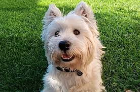 Ariana Erickson's Instagram, Twitter & Facebook