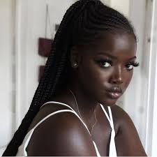 Black And White Braids On Dark Skin Melanin Ting On Instagram New Theme Black In White Blackgirlmagic Teammelan Black Hair Extensions Beautiful Dark Skinned Women Womens Makeup