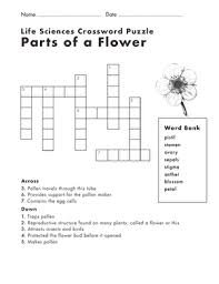 A flower is a part of a plant. Life Science Crossword Parts Of A Flower Worksheet Education Com