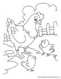 Gambar dan pewarnaan ayam cara menggambar dan mewarnai tv anak. Mewarnai Gambar Contoh Mewarnai Gambar Ayam Jago