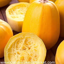 Maybe you would like to learn more about one of these? Spaghetti Squash Pyza Seeds Cucurbita Pepo 14 Seeds Garden Seeds Market Free Shipping