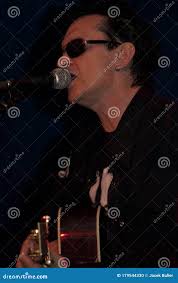 Wayne Hussey Concert at Progresja Club in Warsaw Poland 03-11-2008  Editorial Image