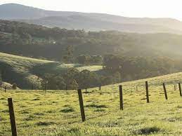 Build that get away cabin on this secluded property. How Much Does 5 Acres Of Land Cost Land Soar