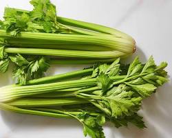 Image of Celery vegetable
