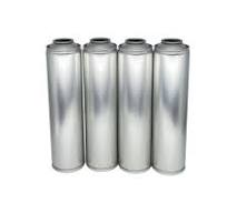 China OEM Aerosol Spray Tin Can/Aerosol Tinplate Can/Aerosol ...