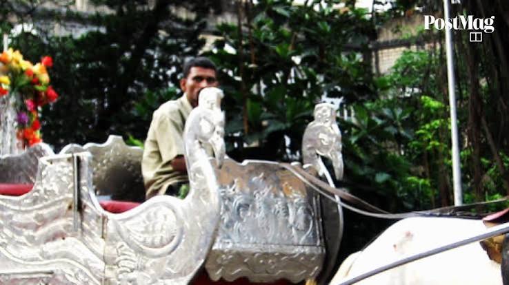 Bombay High Court bans Mumbai's 'cruel and dangerous' horse-drawn carriages | South China Morning Post