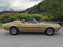 Image result for Coronado Gold 1967 Firebird