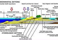 Metal detecting is a great hobby for individuals or for families with children—some dedicated and skilled practitioners even pursue it as a professional career. 27 Metal Detecting Florida Ideas Metal Detecting Florida Treasure Coast