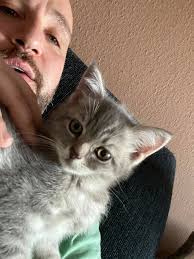 Let's help out Mayito's family! 🙏