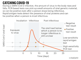 Das probematerial wird mithilfe eines. Rapid Coronavirus Tests A Guide For The Perplexed