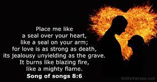 This song portrays the story of a woman aware of the fact that her man is not in love with her anymore. Song Of Songs 8 6 Bible Verse Of The Day Dailyverses Net