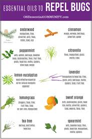 This spray wipes out fleas and ticks while they are eggs, larva, pupas, or adults. Top 10 Essential Oils That Repel Bugs Bug Spray Recipe Diffuser Blends And More Diy Recipes To Naturally Keep Bugs Away One Essential Community