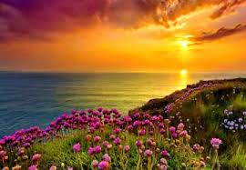 Read the poem by the sea by the poet william wordsworth, the great 18th century english poet. Flowers Pearlyn Familyfriendpoems Com
