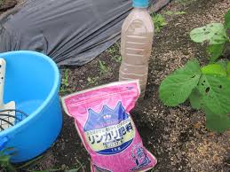 2019 7 6 黒豆の土寄せ 1回目 と追肥 Blue Thunder 弐のblog