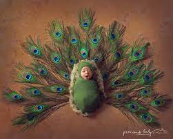 Adorable Squawking Peacock Baby Boy Feathers Newborn Creative Unique Cute Funny Precio Baby Boy Newborn Photography Cute Babies Photography Baby Photoshoot
