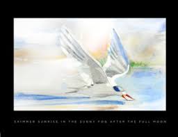 Daniel Morrill Obituary (2008)