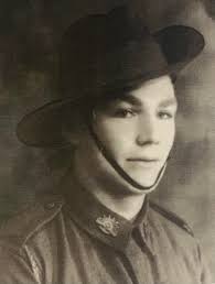 Identifying trees for bee management in Perth