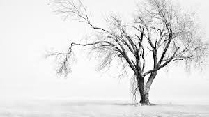 Download 52 Clean White Wallpapers For Desktop Laptops Support us by sharing the content, upvoting wallpapers on the page or sending your own. download 52 clean white wallpapers for