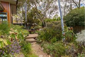 Open Garden Cool And Shady Among The Natives Canberra Citynews Native Garden Front Garden Garden