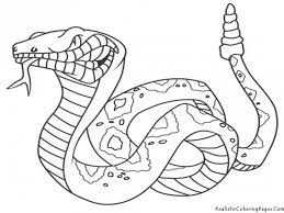 Sep 25, 2018 · jungle coloring pages can help teach your children which animals live in the jungle. Cute Baby Snake Coloring Pages Printable Kidscoloringpics 289748 Coloring Home
