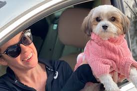 In order to find out exactly how much it actually costs to adopt a dog, i tracked every single expense for the first 6 months. Animal Shelter Walker County Ga