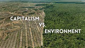 How Capitalism Destroys the Environment - YouTube