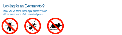 Dear charleston homeowners, my name is mark marenakos. James Island Exterminator James Island Pest Control James Island Bed Bugs