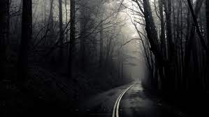 Usually when you buy a computer or mobile device, you can find. Into The Mist Wallpaper 1920x1080 581852 Wallpaperup