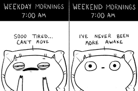Can't sleep memes, for anyone who loves sleep but simply can't. 18 Jokes About Not Being Able To Sleep That Are Too Real