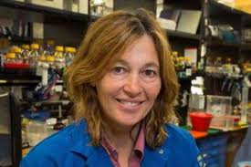 Biochemists solve 'address problem' in cells that leads to lethal kidney  disease