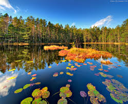 See more ideas about city landscape, finland, city. Elevation Of Nuuksiontie 63 Espoo Finland Topographic Map Altitude Map