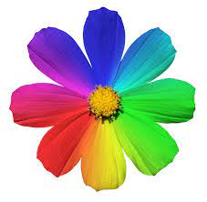 Different color flowers and their meanings. The Meaning Of Flower Colors Learn What Flower Colors Symbolize