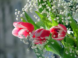 Bouquet fleurs et muguet du fleuriste. Izlesik Bouquet De Muguet Gratuit Avec Text Composition Muguet C Est Un Bouquet Cueilli Dans