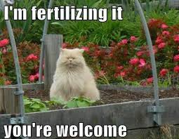 30 Gardening Memes That Will Make You Want To Garden Right Now Gardening Memes Cat Plants Cats