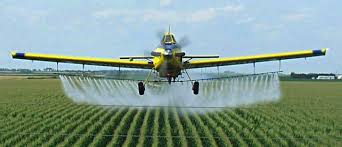 Cancer Association of South Africa (CANSA) Fact Sheet and Position  Statement on Glyphosate