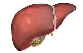 Gallensteine Symptome Entstehung Diagnose Behandlung Minimed At