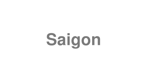 It means that you need to learn how to pronounce vietnamese tones correctly as the tones play an important role in the meaning of a vietnamese word or phrase. How To Pronounce Saigon Video