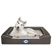 We did not find results for: The Best Dog Beds For Huskies In 2021 Savvy Doggo