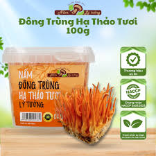 Nấm Đông Trùng Hạ Thảo Tươi Lý Tưởng 100g | Shopee Việt Nam
