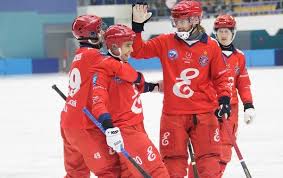 Состав сборной венгрии на чемпионате мира по хоккею с шайбой 2016 года. Hokkej S Myachom Enisej Sbornaya Shvecii Afisha Newslab Ru