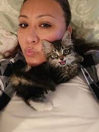 A few days ago, the Arcadia Fire Department was called to rescue a tiny  eight-week-old kitten stuck inside the engine of a car. It's not uncommon  for small animals to seek out