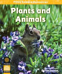 Yew bushes can be grown in sun or shade. Module Summary