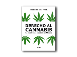 ¿será el 4/20 de 2020? Pros Y Objeciones A La Legalizacion De La Marihuana En Mexico Dieresis Mx